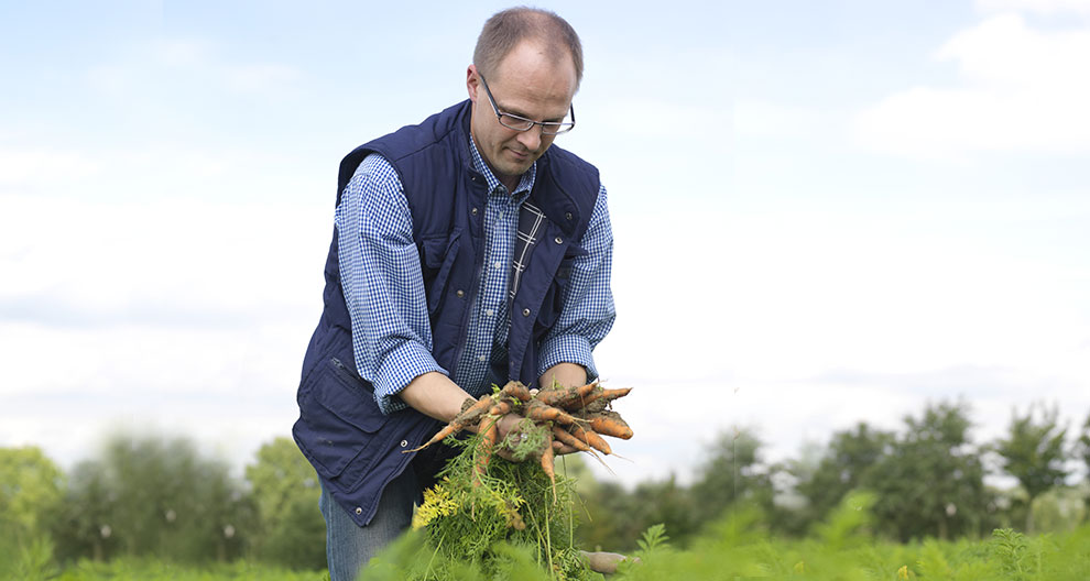 A man in a blue vest and checked shirt is holding a bunch of freshly harvested carrots in a field.