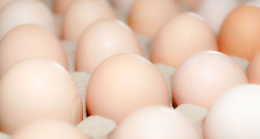 Eggs in a carton.