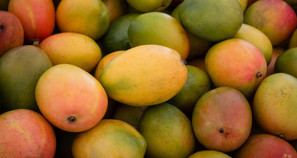 A close-up view of a variety of mangoes in different stages of ripeness.