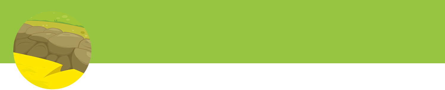 A green background with a yellow and brown oval shape on the left.